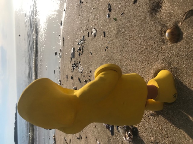 Céramique de personnage en ciré jaune en regardant la mer